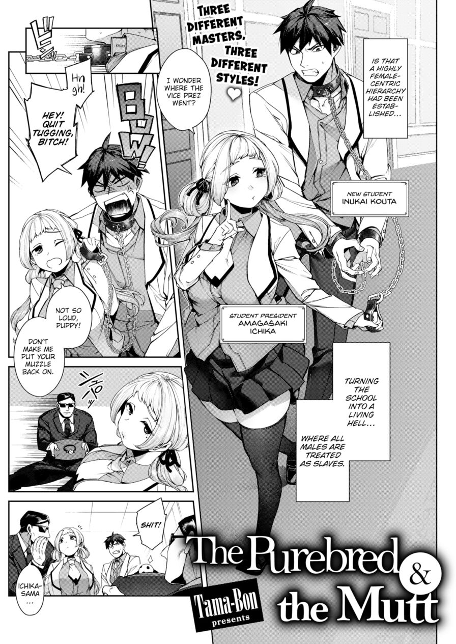 [Tama-Bon] The Purebred and the Mutt (Comic Kairakuten 2022-06)